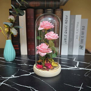 o  ͂Ȃ KN LEDCgt dro ԑMtg o^Cf[ ̓ j ??a LO N  X } X VN ސE jɍœK ޏւ̃v[g (3