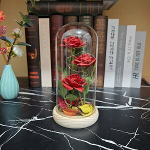 o  ͂Ȃ KN LEDCgt dro ԑMtg o^Cf[ ̓ j ??a LO N  X } X VN ސE jɍœK ޏւ̃v[g (3