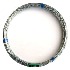 ダイドーハント (DAIDOHANT) ( 軟質 ) メッキ針金 鉄 ・ 亜鉛メッキ 太さ #10 ( 3.2 mm ) x 長さ 75m 10155459