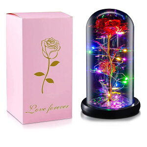 FairyHouse͂Ȃ o LEDCg dr 24KS[h[Y KN ԑ t   [Cg t [ Mt g o^Cf[ ̓ a LO N  X } X j v[