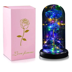 FairyHouse͂Ȃ o LEDCg dr 24KS[h[Y KN ԑ t   [Cg t [ Mt g o^Cf[ ̓ a LO N  X } X j v[