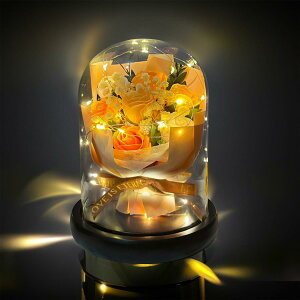 \[ vt [ LangRay ͂Ȃ  ԑ o ? ?t   [ 蕨 Mtg hV̓ ̓ JXj a LO    v[g Mtg{bNX (LED Ԃo