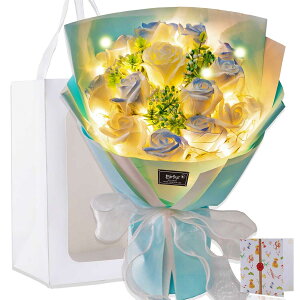  LED Cg t \[ vt [ ԑ o Ԓa ̓ ̓ ̂Ѓv[g j  ސEj j  \ t   [ u[P ΂ Ή