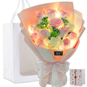  LED Cg t \[ vt [ ԑ o  a ̓ ̓ ̂Ѓv[g j  ސEj j  \ t   [ u[P ΂ Ή