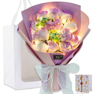  LED Cg t \[ vt [ ԑ o Ԓa ̓ ̓ ̂Ѓv[g j  ސEj j  \ t   [ u[P ΂ Ή