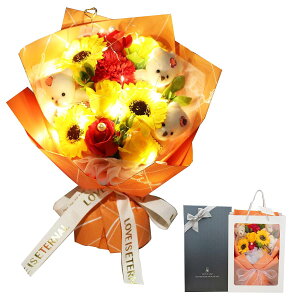 woowei \[ vt [ ԑ  LEDt hV̓ ̓ Ђ܂ Ђȋe ͂Ȃ t [ Mt g lC ԃu[P av[g  j ސE  蕨{bNX 