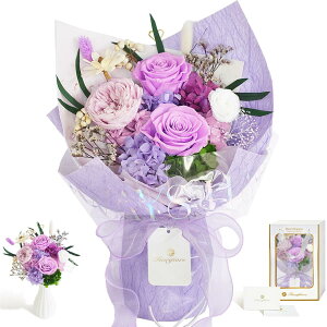 Fiorifiore 2025Vo ̓ vU[uht   [ u[P 3 KNԑ  Mtg{bNXt a j v[gɍœK CeAhCt [ Seraphina