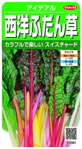  ACfA mӂ XCX`[h 002963