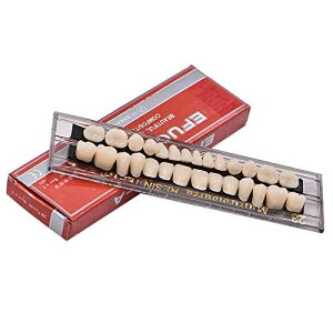 Thumbs ꎕPA ȗpAN  `Lbg nEBz[̏ zCg`23 A2 Abv_E 28/Zbg