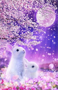 _ChA[g BetterJonny 5D _Ch A[g _Ch yCe_Chh G|Lbg Sʓ\t^Cv DIY |LbgS l q 40x50cmc