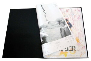 グリーンウィーク B2 ポスター ファイル 収納20枚(中紙・収納ケース付)GWB2F-20