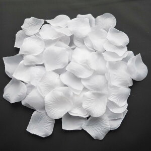 Ԃт 2000Zbg  t   [V[ KN ỏԂт [Y  v|[Y   EGfBO 2 a j N  X } X p[eB[p  Be o