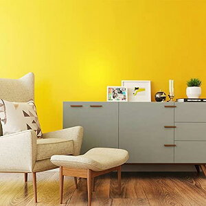 Juangfia ǎ V[ n  ǎ h CNV[g ǎV[g JbeBOV[g tH[V[g DIY EH[ XebJ[ PF 60cm*10m C G  [