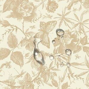 Juangfia ǎV[ ؕ  ǎ h CNV[g Lb` ǎV[g JbeBOV[g tH[V[g DIY EH[ XebJ[ 5m Vp