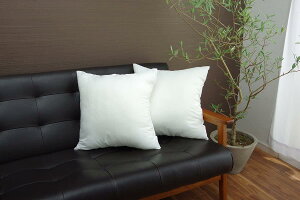 �C�P�q�R �k�[�h�N�b�V���� ���Y �Z�A�e �k�[�h �A�C�{���[ ��45×45cm 2���g #9507820