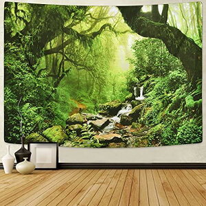 Pknoclan X^yXg[  kǊ|^yXg[ RiǊ|z 210x150cm唻z|X^[   ͗lւ CeA