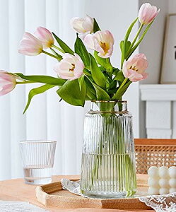 ԕr KX  Ԋ t   [x[X 20cm KXx[X KX{g AW CeA ͔|    Vv CeA