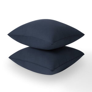 Phantoscope �N�b�V���� ���g 45×45cm 2�Z�b�g �l�C�r�[�N�b�V���� �Ȃ��ґ�ɋl�ߍ��� ���ȑ���15�� �ׂ�Ȃ� �\�t�@�[�N�b�V���� �k�[�h�N�b�V���� �􂦂� �R�ۖh�L �h�J�r �_�炩�� �l�C�r�[