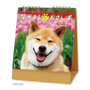 V{J_[ 2025N J_[  Č܂Ƃ N\t NK8529