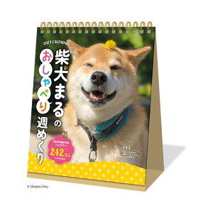 V{J_[ 2025N J_[  Č܂ׂ̂T߂ NK4308