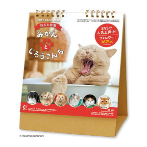 V{J_[ 2025N J_[  ˂Ɛ ݂Ƃ낤 N\t NK8527