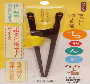 y}\Gg[Ń|Cg10{zCV_  Ɣ ǂp 16.5cm E