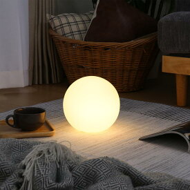 不二貿易(Fujiboeki) ボール型ランプ フロアランプ 幅20×奥行20×高さ20cm ホワイト インテリアライト ガラス LEDライトのみ対応 66806