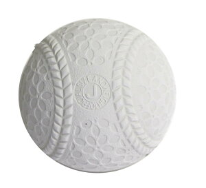 TNCf (SAKURAI) v}[N  K J( w p) 2 LB-300J