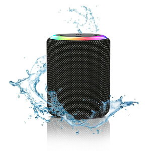 BluetoothXs[J[ CXXs[J[ ^ HIFI 剹 |[^uXs[J[y2025N̐VAbvO[hz Bluetooth5.3 LEDCgt Type-C[d IPX7h AUXΉ }CN/TWS@\/TFJ[