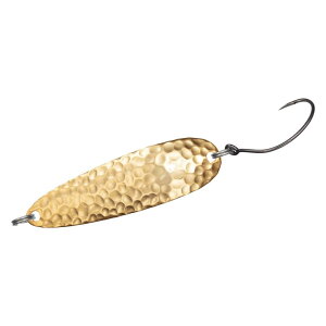 _C(DAIWA) Xv[ NZC_[17S HG