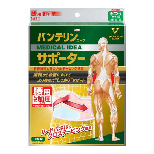 oeT | [ ^ [ pŒ^Cv ӂ/MTCY(ւ 65~85cm) pXesN