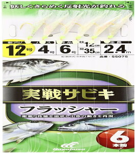 nuT(Hayabusa) SS075 TrL tbV[6{b 12-4