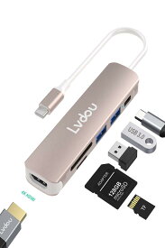 Lvdou 2024高機能版 USB C ハブ 6-in-1 Type-C アダプタ｜100W PD充電・4K HDMI・USB 2.0/3.0・MicroSD/SDカードリーダー搭載｜MacBook Pro/Air, I P h o n e 15/16, iPad Pro, Surface Pro 9/8, HP, DELL, Chromebook対応 ノートPC/タブレット用｜適格請求書発行可
