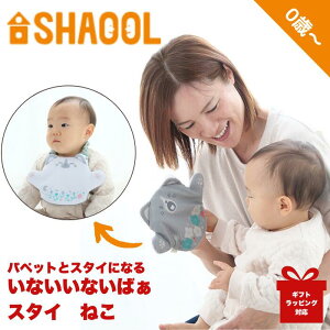 VI[ ȂȂ΂X^C ˂bxr[ X^C 悾ꂩ Mtg