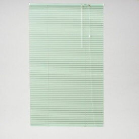 新品未使用 TOSO トーソー インテリアブラインド スポーラ R グリーン 60X138 小窓用 No.704 アルミブラインド /I6-2373★2