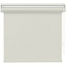 新品未使用 TOSO トーソー ロールスクリーン ラビータ LAVITA CH 90X200 ミックス クリーム R501 チェーンタイプ /L2-2380★5