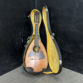 SUZUKI VIOLIN M-218 1974 マンドリン 【中古】ハードケース付き 楽器 /517887