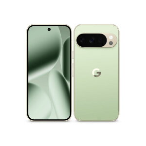 yVizGoogle O[O X}z Pixel 10 Pro 256GB WFCh SIMt[