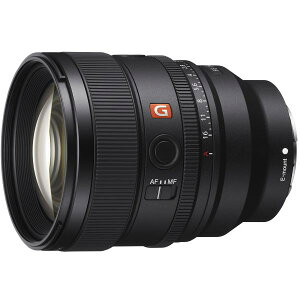 yVizSONY Y FE 85mm F1.4 GM II SEL85F14GM2