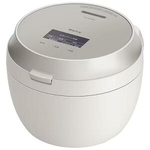 yVizPanasonic pi\jbN ъ rXg SR-V10BB-H CgO[W