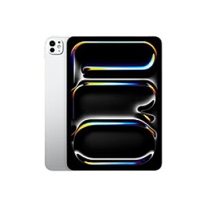 yVizApple iPad Pro 11C` Wi-Fif 7 512GBiWKXځjMVVD3J/A Vo[