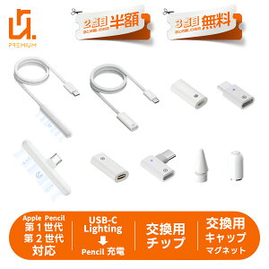 �y2�ڔ��z/3�ڃ^�_�zApple Pencil�p �[�d�A�_�v�^ USB-C & Lightning �ϊ� �}�O�l�b�g�z�� ��1����/��2����Ή� �}���[�d LED�C���W�P�[�^�[���� ���y��4.4g �����^�ѕ֗� �R���p�N�g �����p�y����