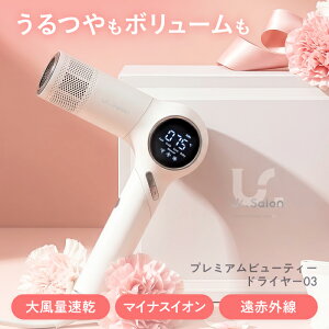 �y�y�V1�ʁz �啗�� �_���[�W�P�A Ur.Salon �w�A�h���C���[ ���� 2.1m/�� �}�C�i�X�C�I�� �y�� ���^ ���ԊO�� �����擾 �h���C���[ ����c�� ���� �É� ���� �I�[�g�N���[�j���O�@�\ ���@�\ �܂�