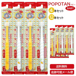 POPOTAN xr[ 4{ 12{ { 360xюuV ɍז uV s}bT[W uV  ۂۂ ۂۂ̎ qp p [ } 