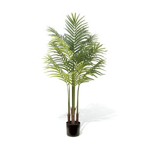 tFCNO[ ϗtA tFCN O[ lHϗtA ^ I[u Xe pL hZi AJp[ AJV G} L g  rO 傫 {