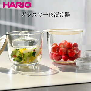 Ђ KẌЂ S zCg HARIO nI H @ dqW Ή Е ϔMKX  Vv  GTK-S-OW