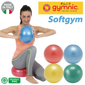 ギムニク ソフトギムニク ソフトジム GYMNIC SOFTGYM バランスボール ミニバランスボール トレーニングボール フィットネス ストレッチ 筋トレ トレーニング ヨガ ピラティス ダイエット 正規品 空気入れストロ付き 最大サイズ23cm オリジナル小冊子付き メール便 宅配便