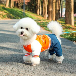  fjpc WPbg ZbgAbv ^  JWA hbOEFA tH~ gCv[h rVt[[ `