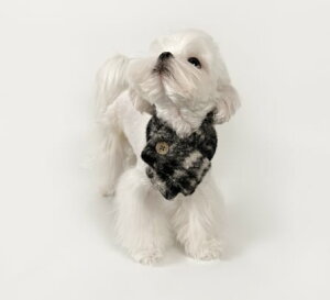 p lbNEH[}[ o_i H~ h  `FbN ^ ^