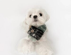 p }t[ H~ h `FbN  ӂ 񌳂 ^ ^